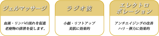 ジェルマッサージ ラジオ波 エレクトロポレーション